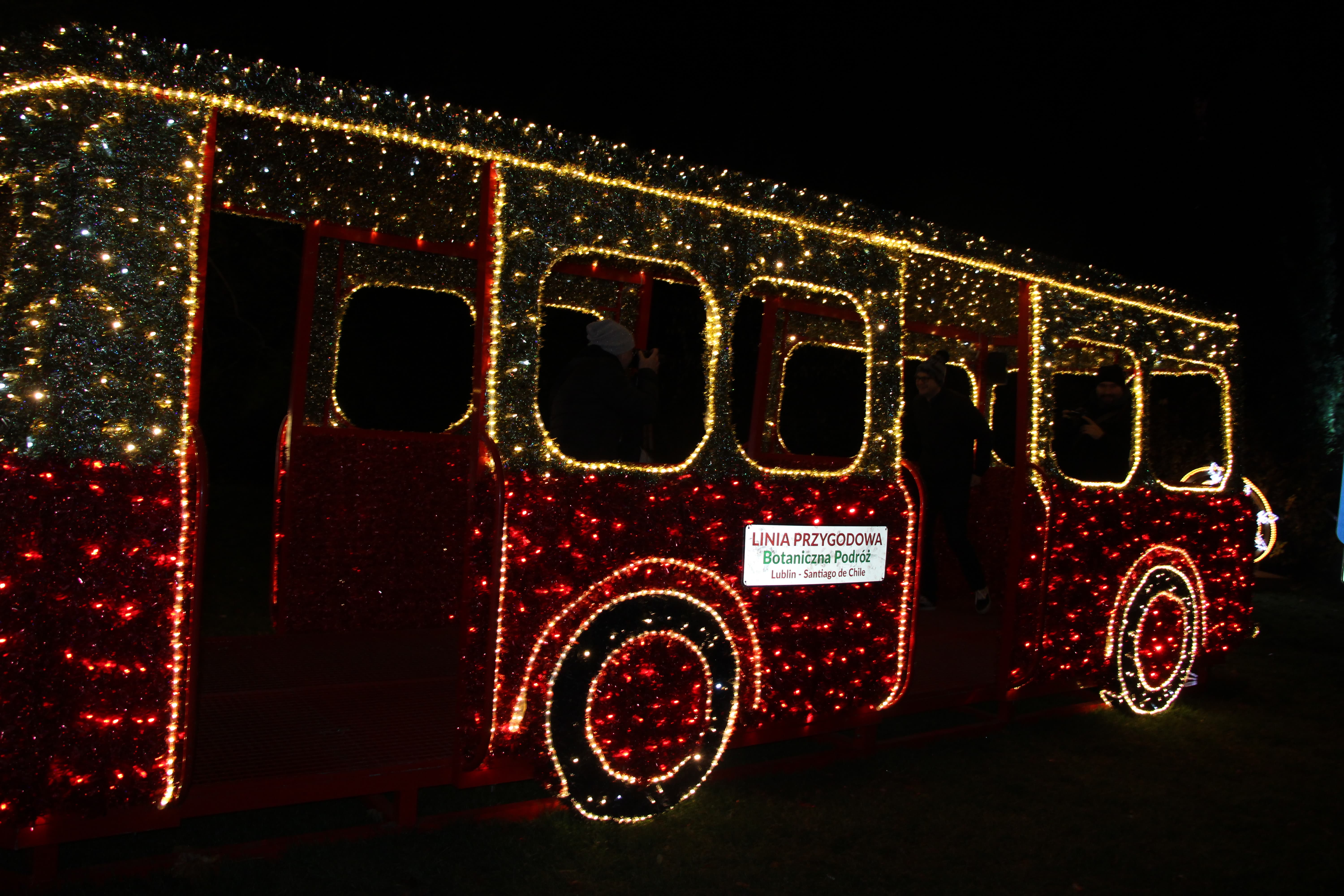 Lublin: Kolorowe iluminacje zdobią Ogród Botaniczny UMCS. Powstał jedyny w mieście park iluminacji [GALERIA] - Zdjęcie główne