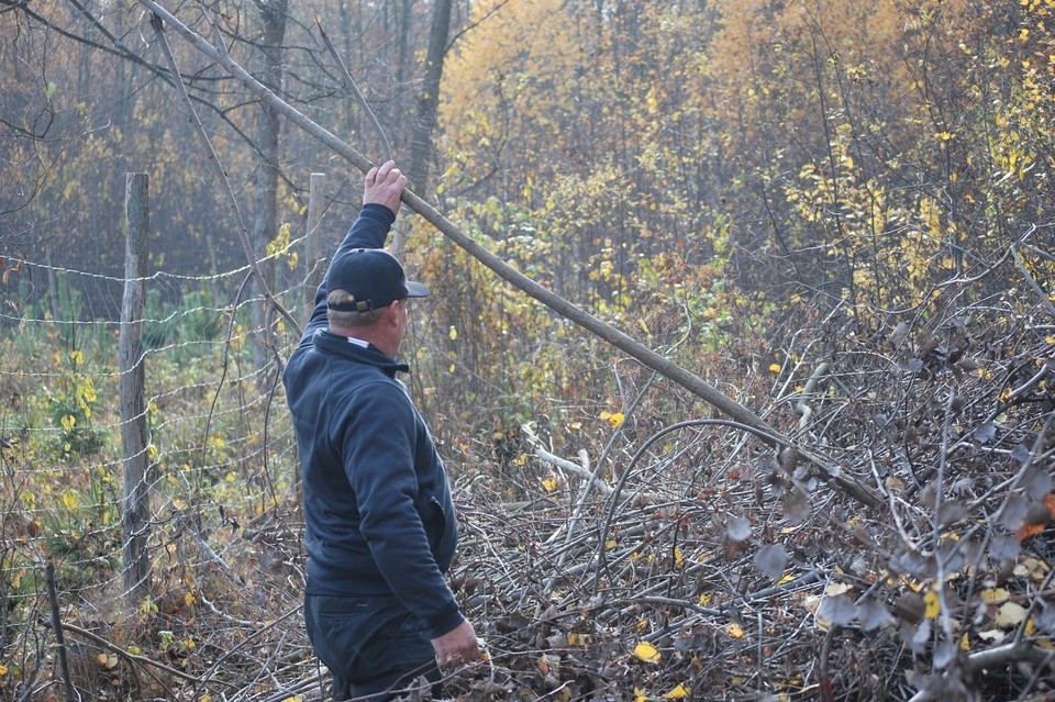 Lasku nie ma. Winnego także - Zdjęcie główne