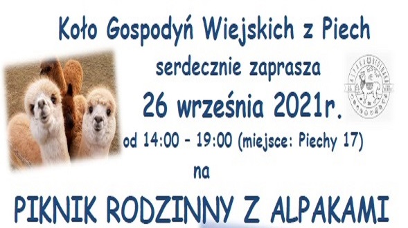 Piknik rodzinny z alpakami w Piechach - Zdjęcie główne