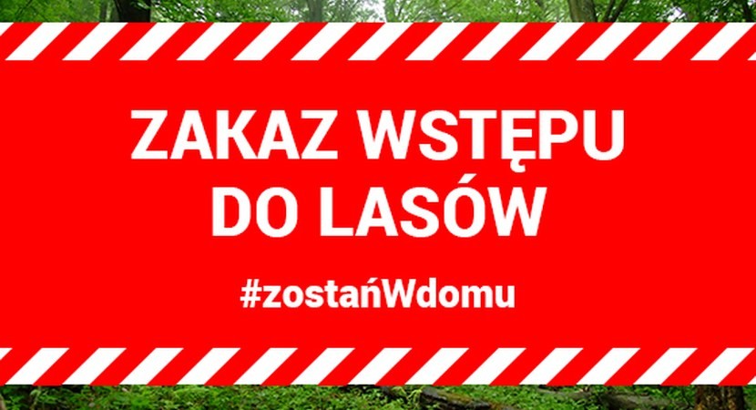 Tymczasowy zakaz wstępu do lasów - Zdjęcie główne