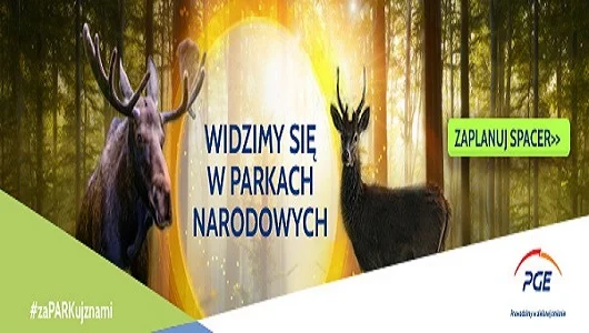 Zobacz jesienną odsłonę Parków Narodowych współpracujących z PGE - Zdjęcie główne