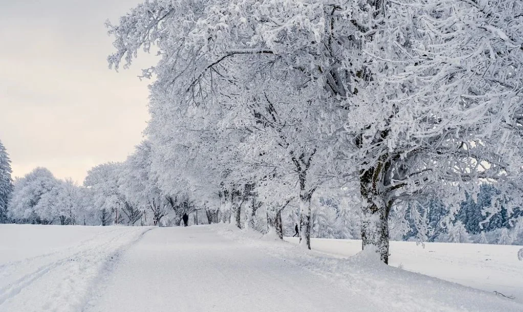 Dawne Święta Bożego Narodzenia w powiecie parczewskim. 30-stopniowe mrozy i mnóstwo śniegu - Zdjęcie główne