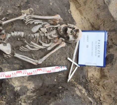 Szczątki ludzkie w centrum Parczewa. Co ustalili archeolodzy? - Zdjęcie główne