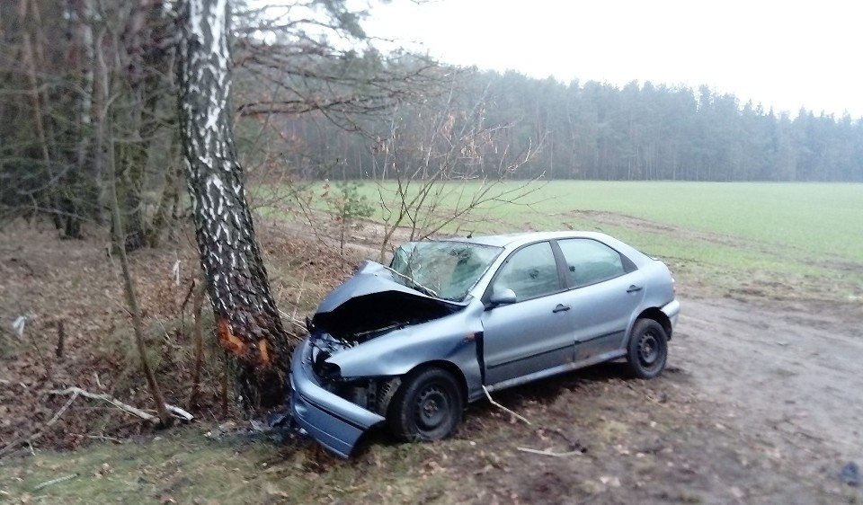 W Glinnym Stoku auto uderzyło w drzewo - Zdjęcie główne