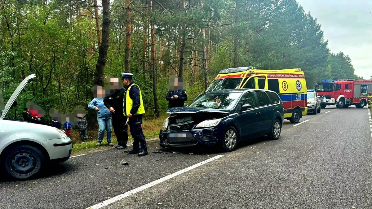 Powiat parczewski. Zderzenie dwóch samochodów na DW-819 - Zdjęcie główne