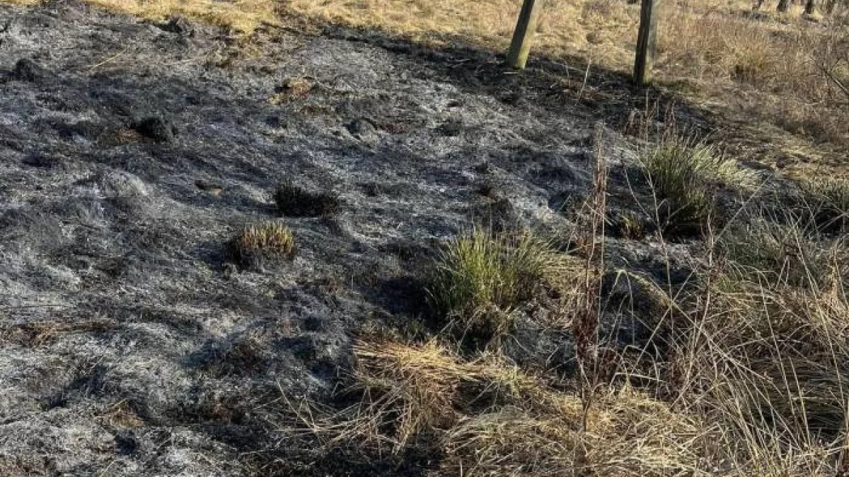 Groźny pożar w gminie Siemień. Na miejscu 2 zastępy straży - Zdjęcie główne