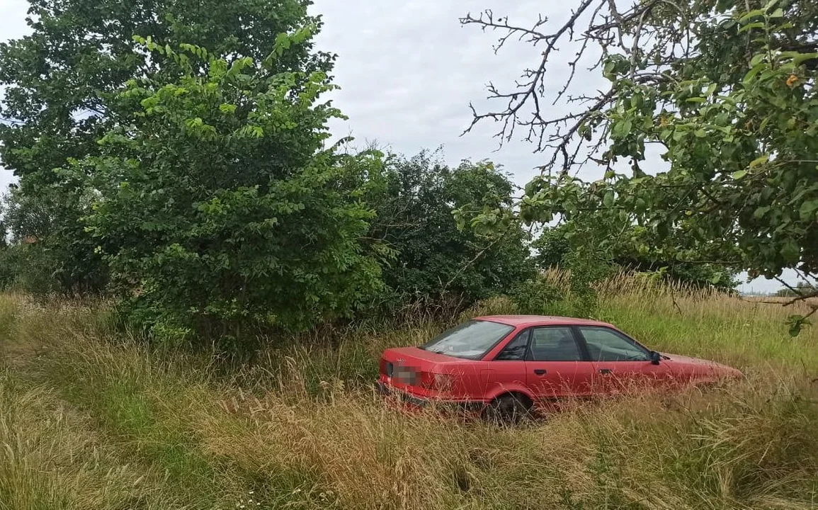 Powiat parczewski: Schował w krzakach auto byłej żony - Zdjęcie główne