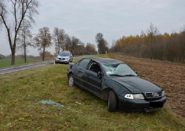 Dachowali bo szukali kluczyka - Zdjęcie główne