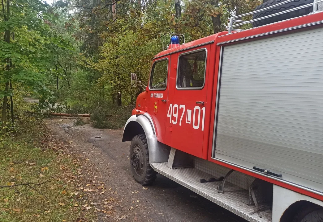 Interwencja strażaków-ochotników z gminy Parczew - Zdjęcie główne