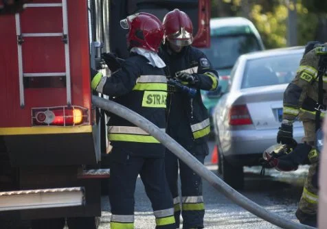 Druhowie z gminy Dębowa Kłoda dostali pieniądze na sprzęt - Zdjęcie główne