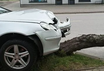 Parczew. Mercedes wjechał w drzewo na ul. Kościelnej - Zdjęcie główne