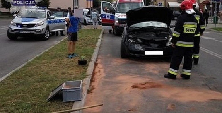 Straż pożarna i Policja w akcji - Zdjęcie główne