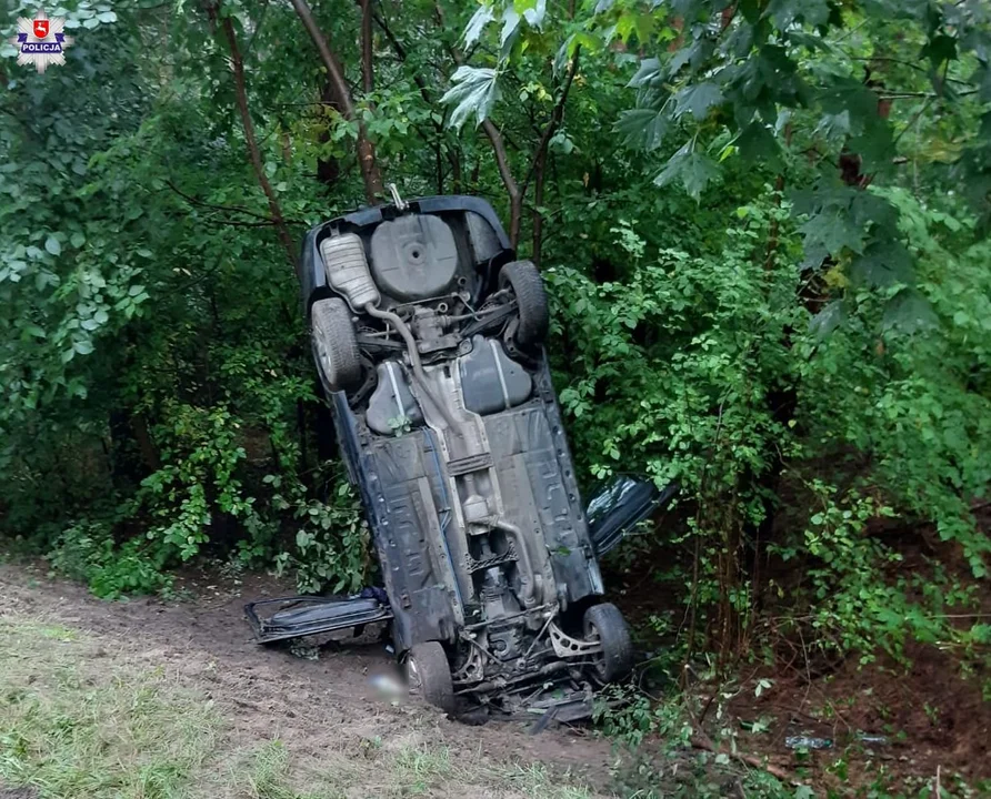 Kierowca z powiatu lubartowskiego chciał ominąć sarnę na drodze. Cztery osoby w szpitalu - Zdjęcie główne