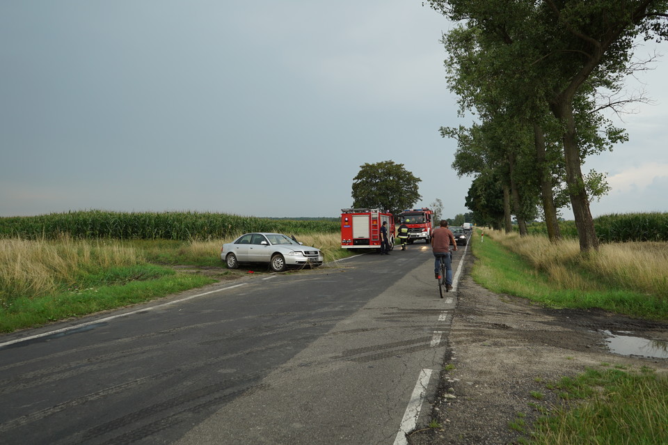 NOWE INFORMACJE W SPRAWIE Wypadek na W-813, między Parczewem i Laskami  - Zdjęcie główne