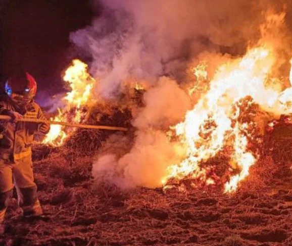 Duży pożar w powiecie parczewskim. Na miejscu 5 zastępów straży - Zdjęcie główne