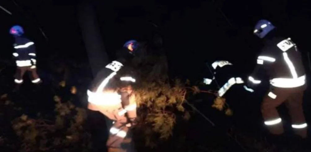 Orkan Nadia. W gminie Sosnowica strażacy usuwali powalone drzewo  - Zdjęcie główne