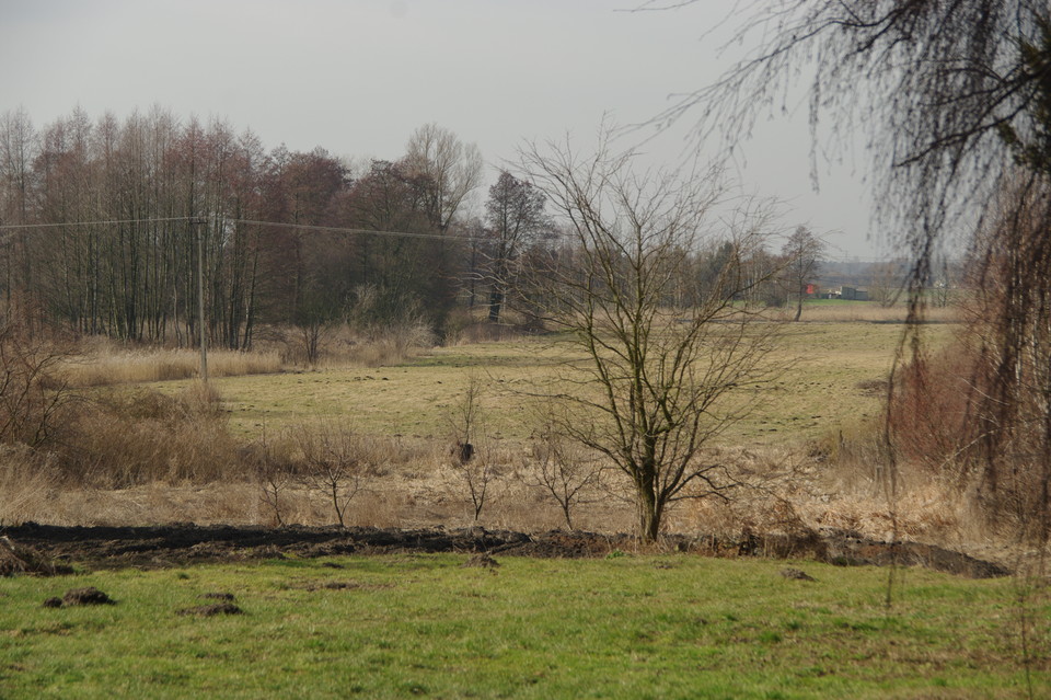 Kilkaset wniosków w kolejce o zmiany w planie zagospodarowania - Zdjęcie główne