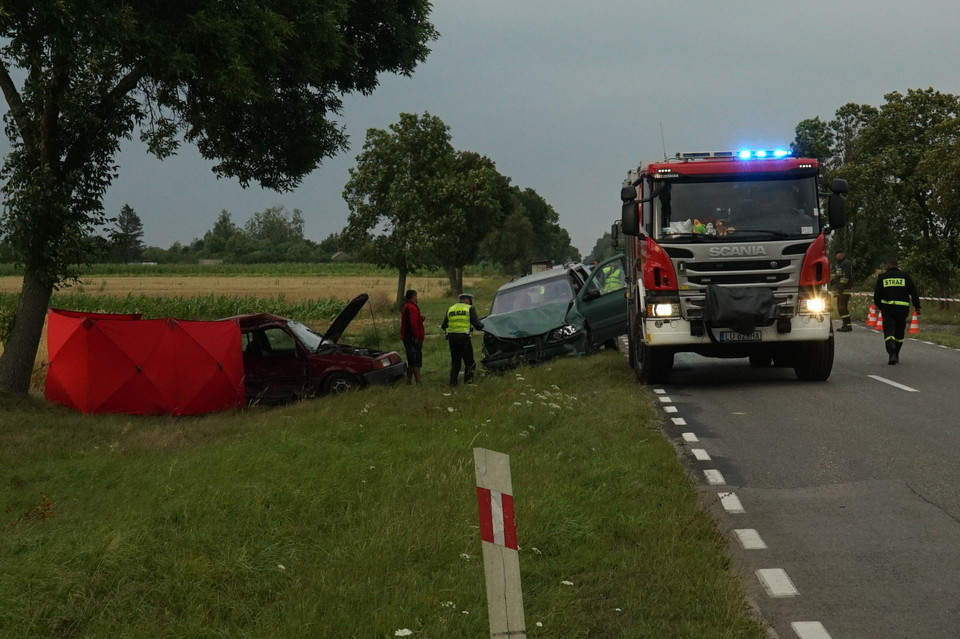 Tragedia w Horodyszczu. Zginęła 14-letnia dziewczynka. - Zdjęcie główne