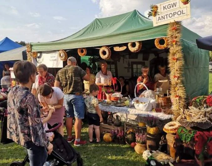 Gmina z powiatu parczewskiego zaprasza na dożynki (NASZ PATRONAT) - Zdjęcie główne