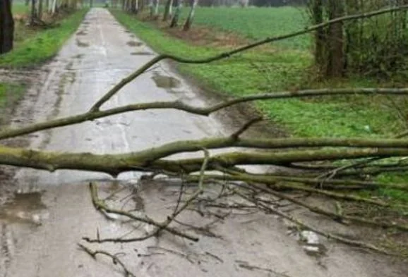 Powiat parczewski. Interwencja straży pożarnej w gminie Milanów - Zdjęcie główne