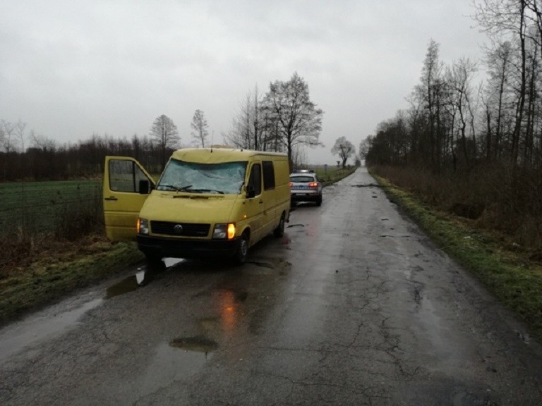 Parczew: Wiatr powalił drzewo wprost na kierującego Volkswagenem - Zdjęcie główne