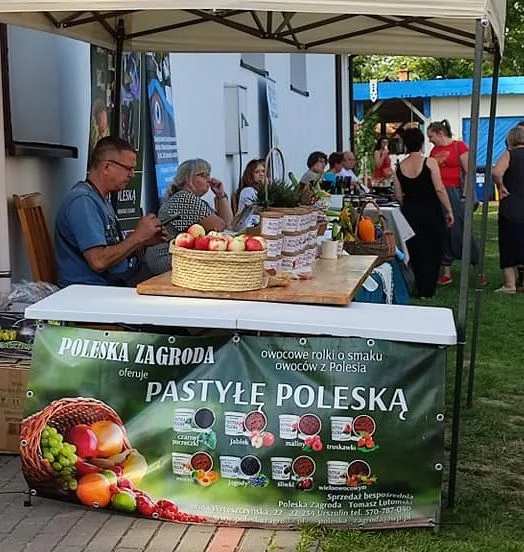 Powiat parczewski: Kraina Rumianku obchodziła swoje święto (ZDJĘCIA) - Zdjęcie główne