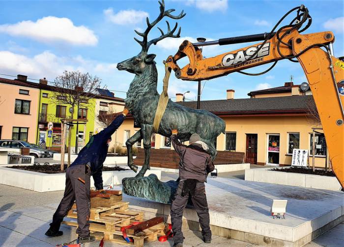 Jeleń Królewski stanął na betonowym rykowisku - Zdjęcie główne