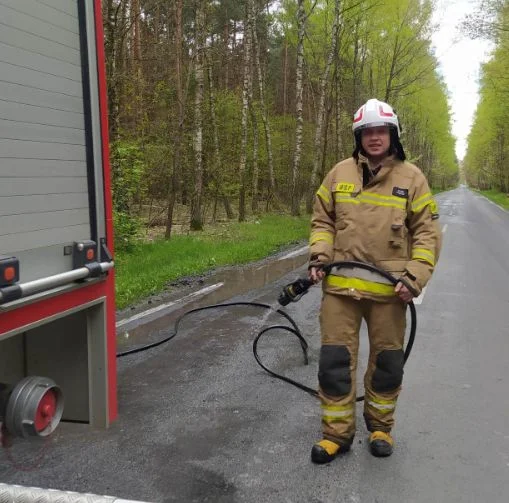 Zanieczyszczenie na DW 820 w powiecie parczewskim. Niecodzienna interwencja strażaków - Zdjęcie główne