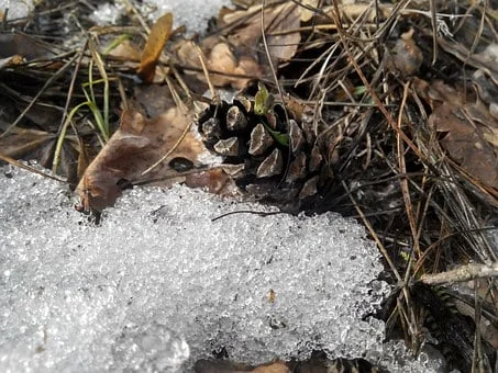 Pogoda w Twojej okolicy. Prognoza na czwartek 9 grudnia. - Zdjęcie główne