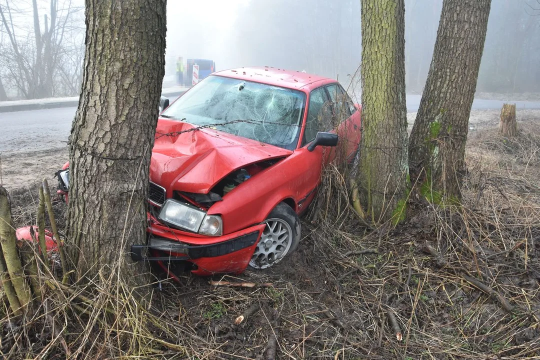 Zjechał z drogi i uderzył w drzewo - Zdjęcie główne