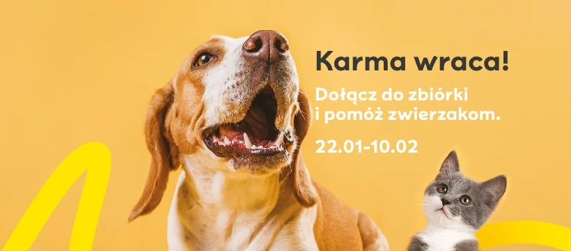 Karma wraca. Możesz pomóc czworonożnym przyjacielom - Zdjęcie główne