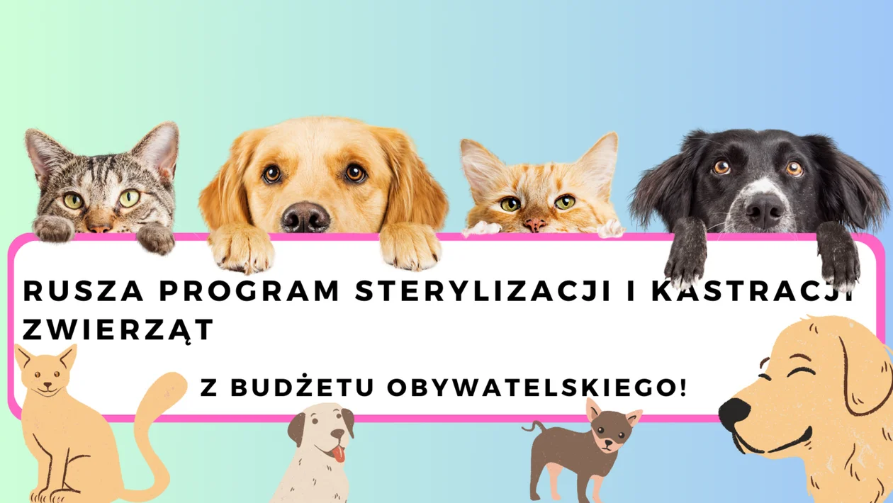 Mieszkańcu wysterylizuj/wykastruj pupila za darmo! - Zdjęcie główne