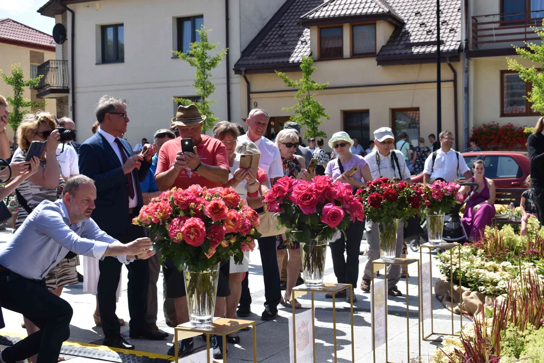 Święto Róż w Końskwoli już w niedzielę - Zdjęcie główne