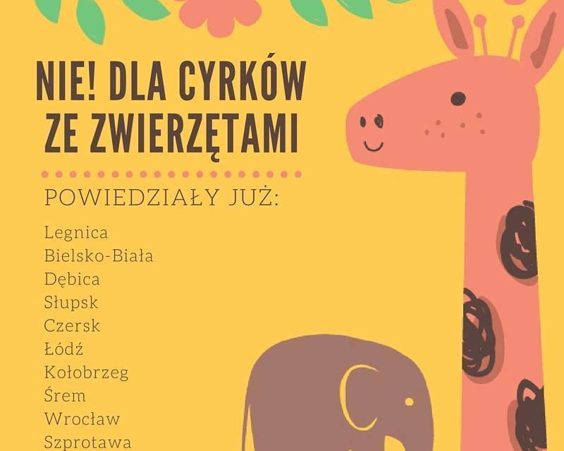 Nie dla cyrków ze zwierzętami w Puławach - Zdjęcie główne