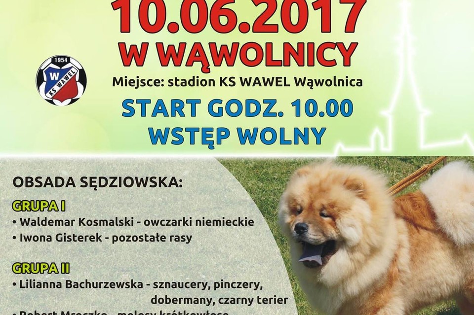 Krajowa Wystawa Psów Rasowych - Zdjęcie główne