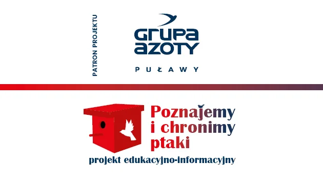 Ptaki Puław i okolic - działania edukacyjne szkół puławskich. - Zdjęcie główne