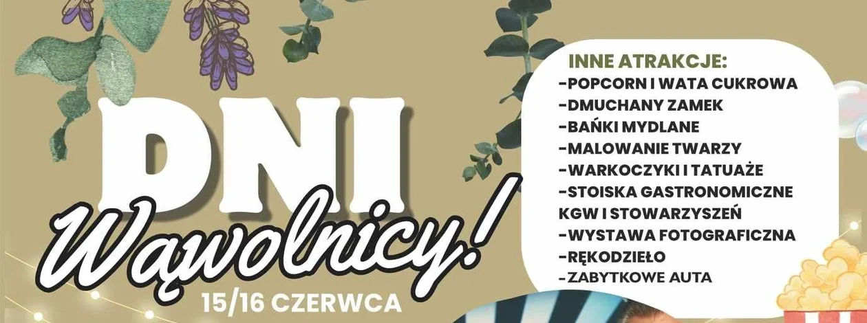 Już w kolejny weekend Dni Wąwolnicy - Zdjęcie główne