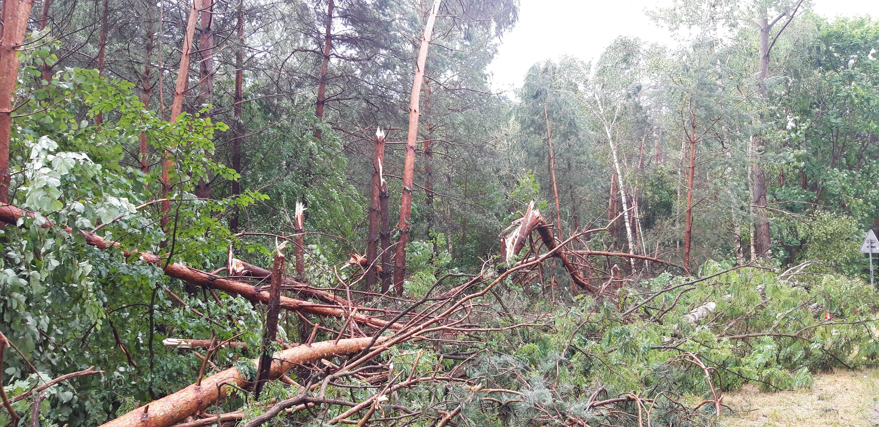 Burza nad pow. puławskim. Na szczęście bez większych strat - Zdjęcie główne