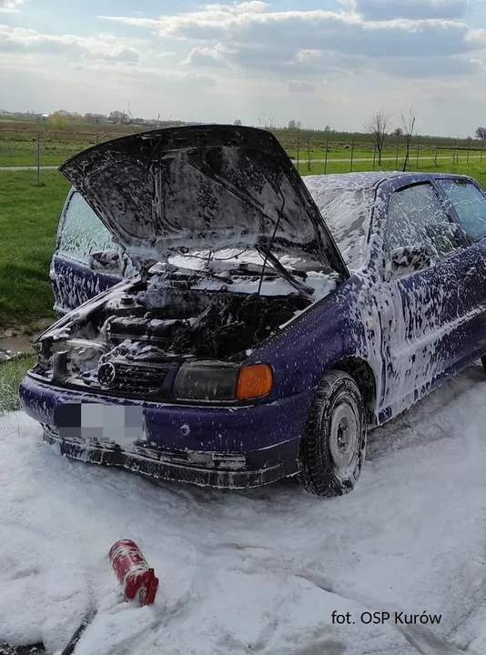 Auto spalone, kierowca przed sąd - Zdjęcie główne