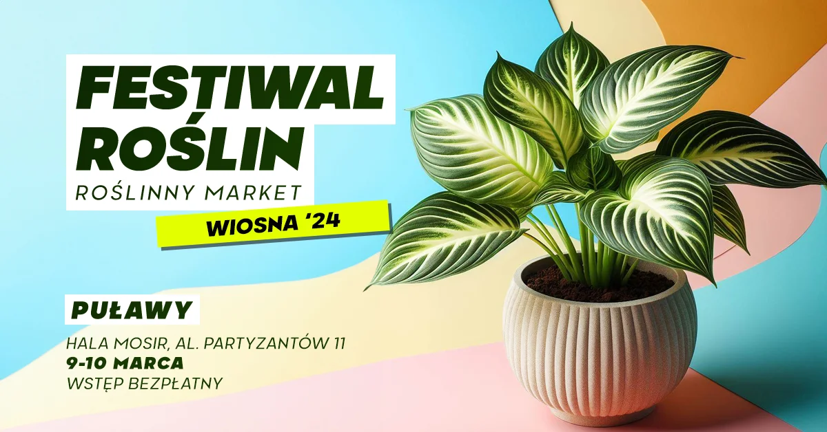 Festiwal Roślin w Puławach. Wielki market w centrum miasta - Zdjęcie główne