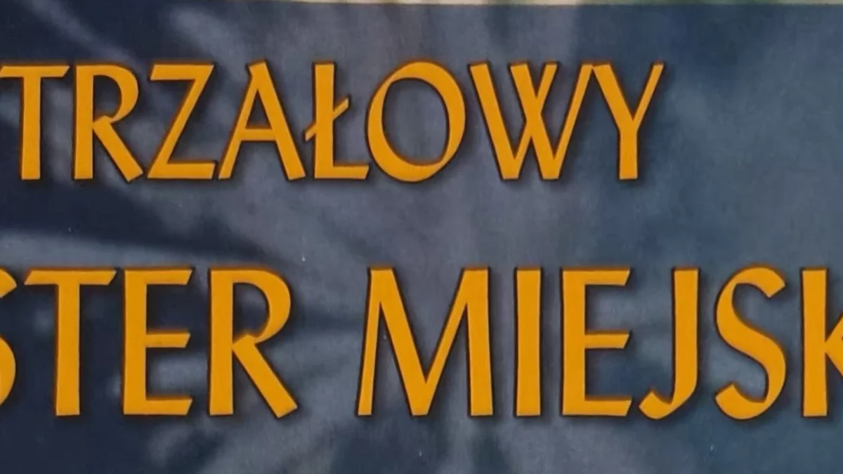 Sylwester Miejski w tym roku nie tylko w Puławach - Zdjęcie główne