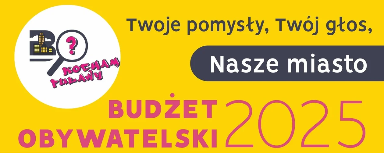 Urzędnicy czekają na projekty do Budżetu Obywatelskiego Puław. Dziś ostatnia szansa - Zdjęcie główne