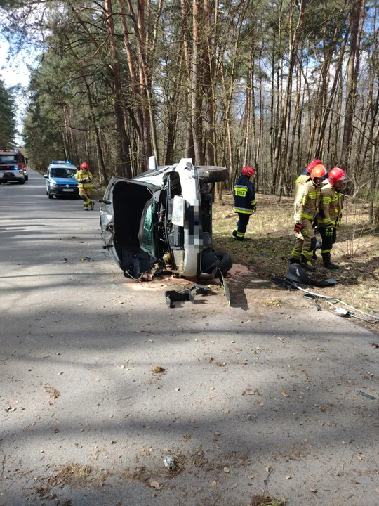 Powiat puławski: Auto uderzyło w drzewo. Kierująca w szpitalu - Zdjęcie główne