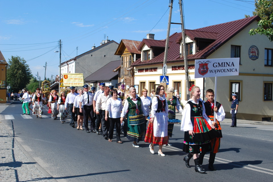 Wąwolnica ugościła cały powiat - Zdjęcie główne