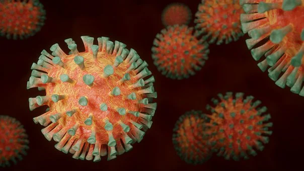 Koronawirus: 3 zgony i brak nowych zakażeń w powiecie puławskim - Zdjęcie główne