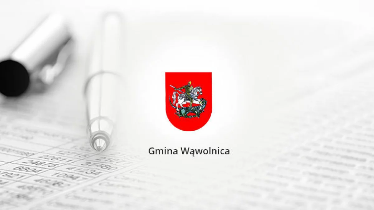 Mieszkańcu gminy Wąwolnica, sprawdź, kiedy wystawić śmieci - Zdjęcie główne