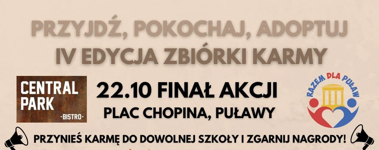 Najpierw spacer z psiakami, potem piknik na Placu Chopina. Wileki finał akcji na rzecz bezdomnych zwierząt w Puławach - Zdjęcie główne