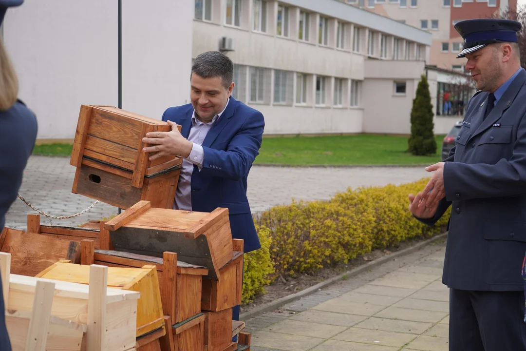 Przyjdź po budkę dla ptaków - Zdjęcie główne