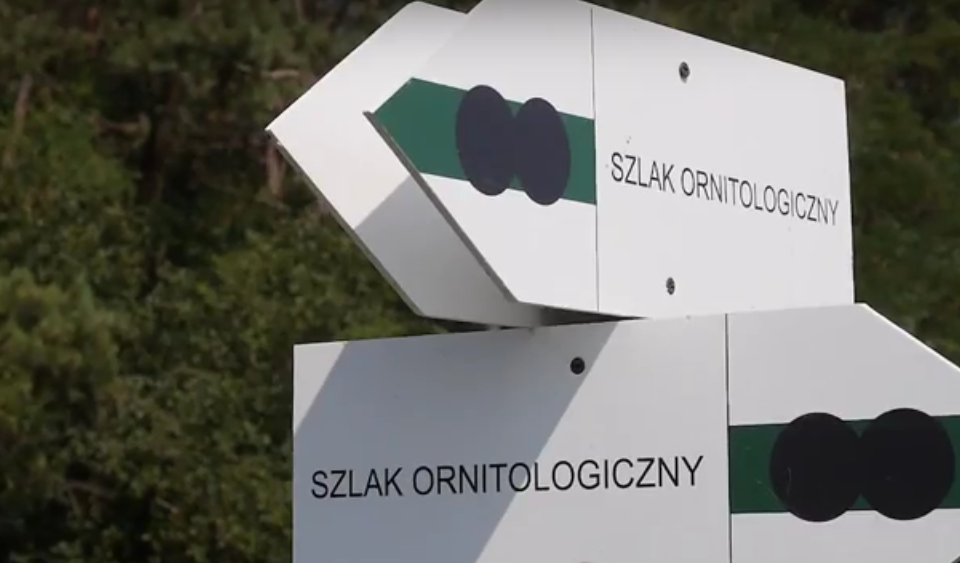 Szlaki ornitologiczne na terenie powiatu puławskiego - film edukacyjny - Zdjęcie główne