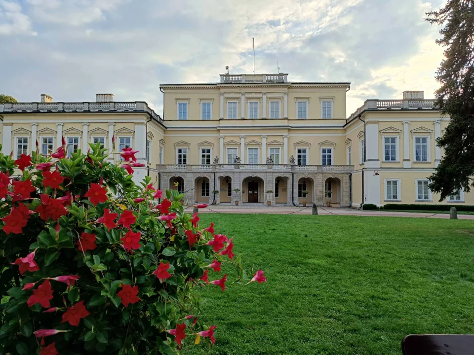 Park Czartoryskich zamknięty do odwołania. Wszystko przez uszkodzone drzewa - Zdjęcie główne